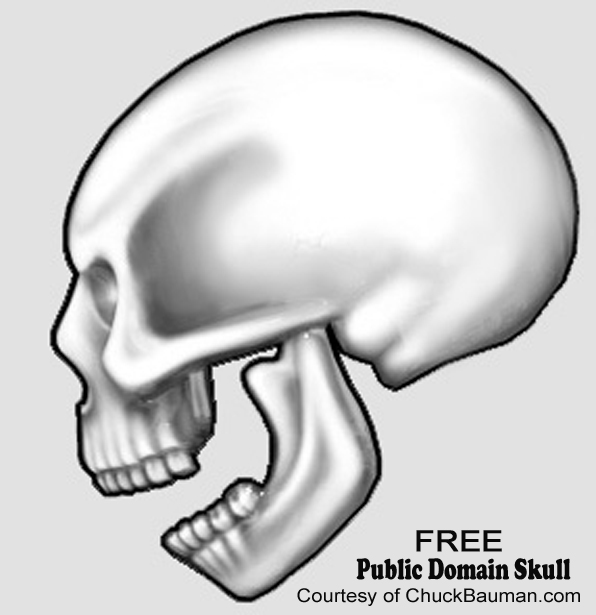 FREE Skull Airbrush Template