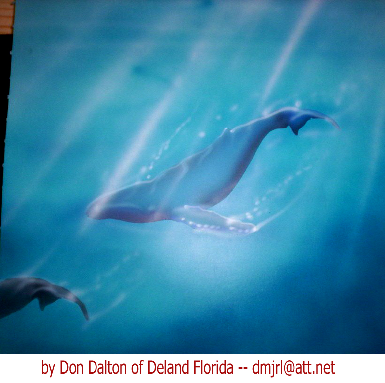 Whales airbrushed by Don Dalton